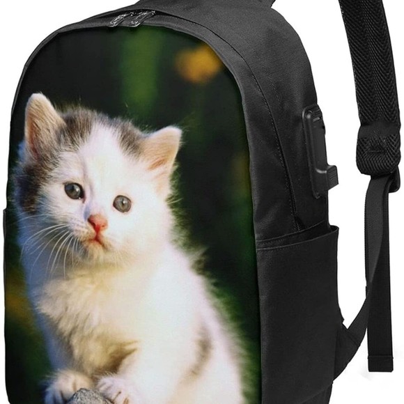 Meet your Posher, Moreno - Picture 1 of 1